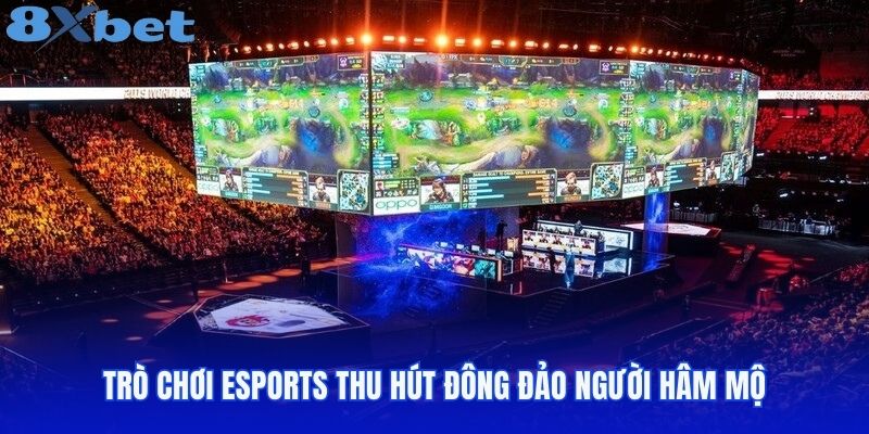 Trò chơi Esports thu hút đông đảo người hâm mộ